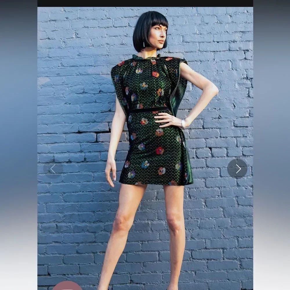 Anthropologie Eva Franco Mini Dress Womens Floral Velvet Multicolored Sz XL NWT